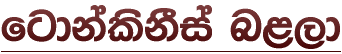fgdkalskSia n<,d